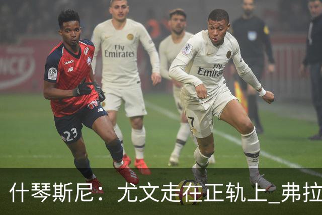 什琴斯尼：尤文走在正轨上 弗拉霍维奇非常出色